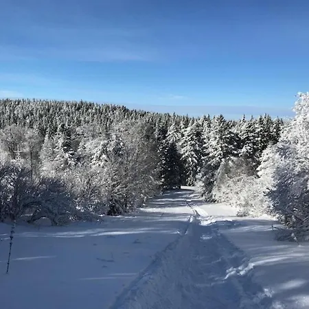 Mont-dore: T2 Avec Balcon, Parking Et Wifi - Fr-1-608-125 *