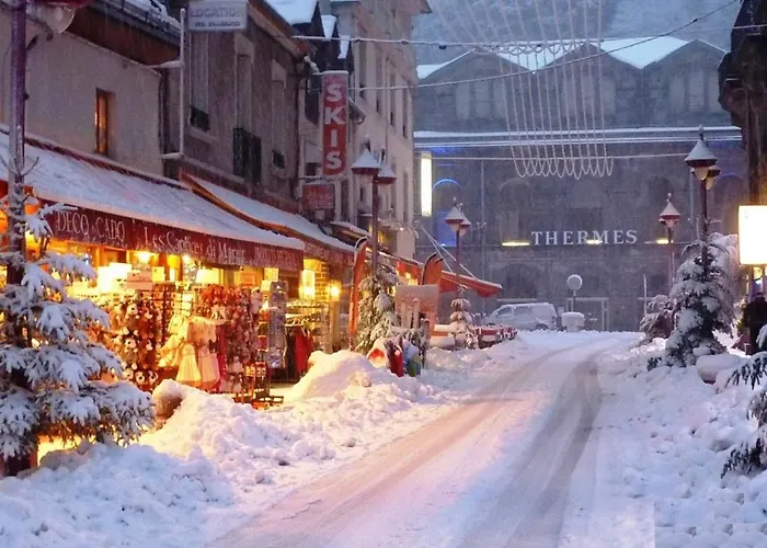 Apartamento Mont-dore: T2 Avec Balcon, Parking Et Wifi - Fr-1-608-125 Mont-Dore