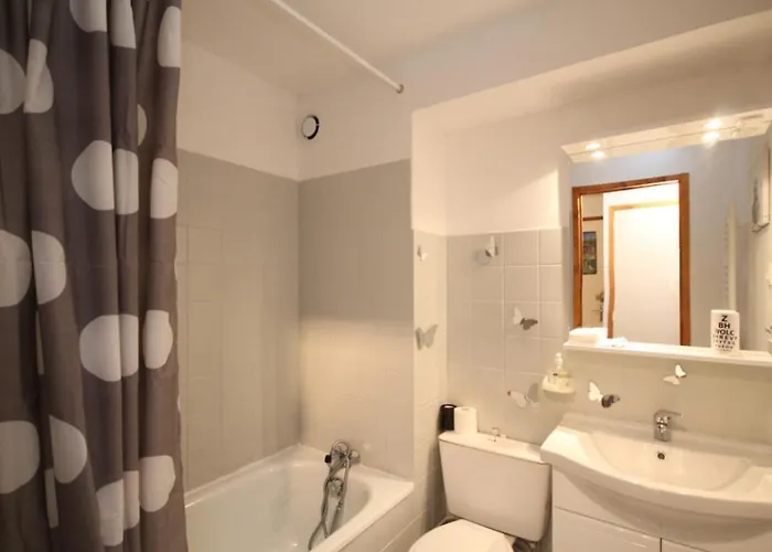 Apartamento Mont-dore: T2 Avec Balcon, Parking Et Wifi - Fr-1-608-125 *