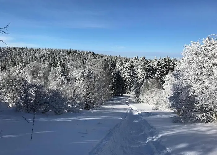 Mont-dore: T2 Avec Balcon, Parking Et Wifi - Fr-1-608-125 *