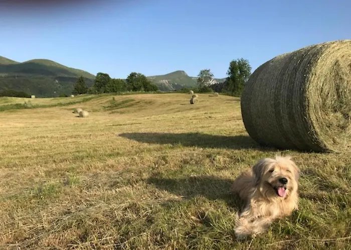 Mont-dore: T2 Avec Balcon, Parking Et Wifi - Fr-1-608-125 Apartment *