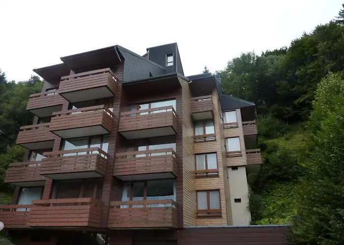 Mont-dore: T2 Avec Balcon, Parking Et Wifi - Fr-1-608-125 Mont-Dore