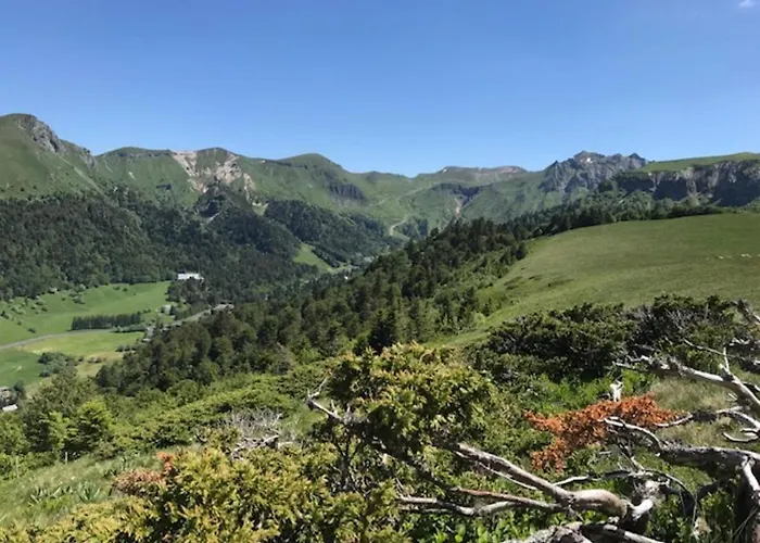 Apartamento Mont-dore: T2 Avec Balcon, Parking Et Wifi - Fr-1-608-125